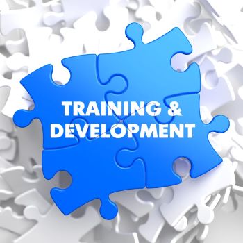 Training and Development Written on Blue Puzzle Pieces. Educational Concept.  3D Render 